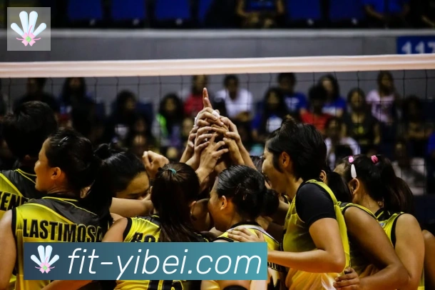 数据分析功能